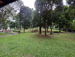 BUKIT PURMEI VILLE (D4), Shop House #483237751